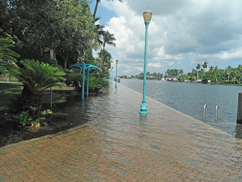NSF Grant Awarded to Challenge Response for Sea Level Rise Along Gulf of Mexico